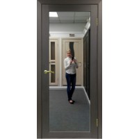 Дверь межкомнатная Турин-501.1 ДО зеркало, Венге